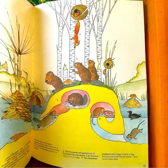 VINTAGE 1987 “The Big Book of Amazing Animal Behavior” Hardcover - Picture 8 of 14